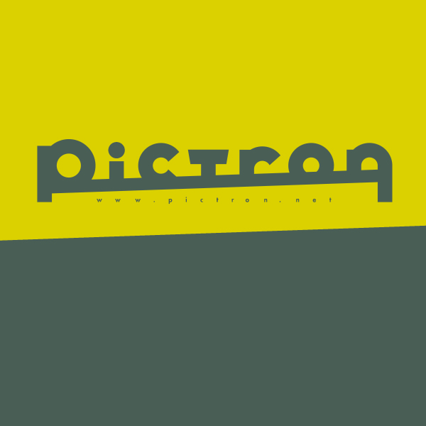 「ピクトロンウェブプランニング」のロゴ
