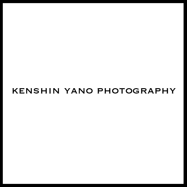 「矢野健紳写真事務所」のロゴ