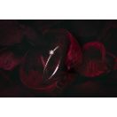 「僕の大切な友人」のロゴ