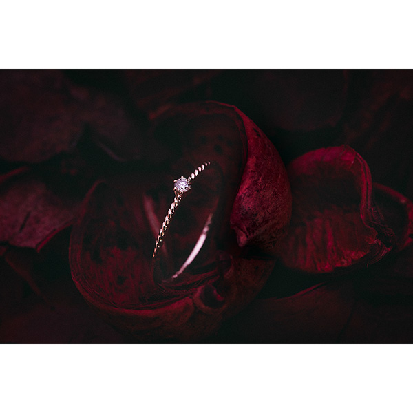 「僕の大切な友人」のロゴ