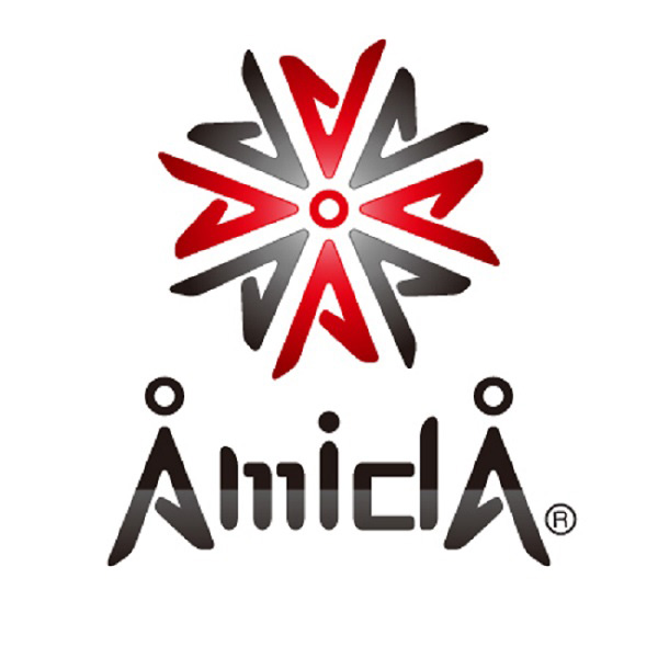 「株式会社AmidA」のロゴ