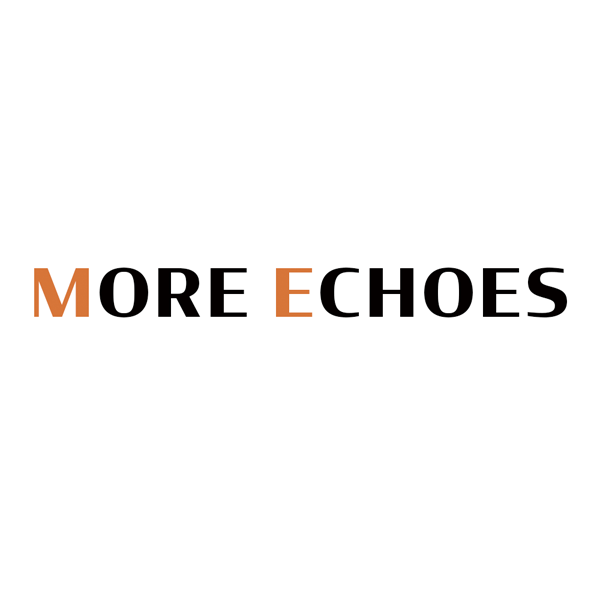 「株式会社MORE ECHOES」のロゴ
