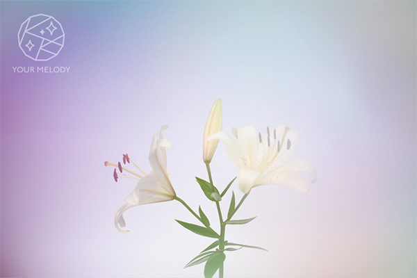 「ユアメロディ」のPR画像