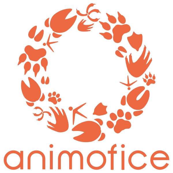 「合同会社 animofice」のロゴ
