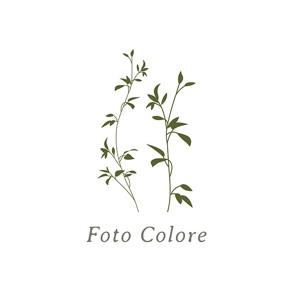 「Foto Colore」のロゴ