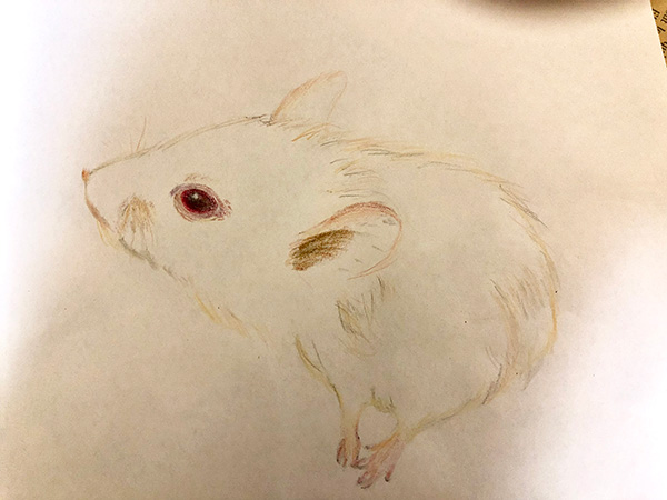 「iD404」のPR画像