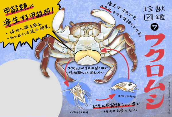 フクロムシイラスト「谷脇栗太」のPR画像