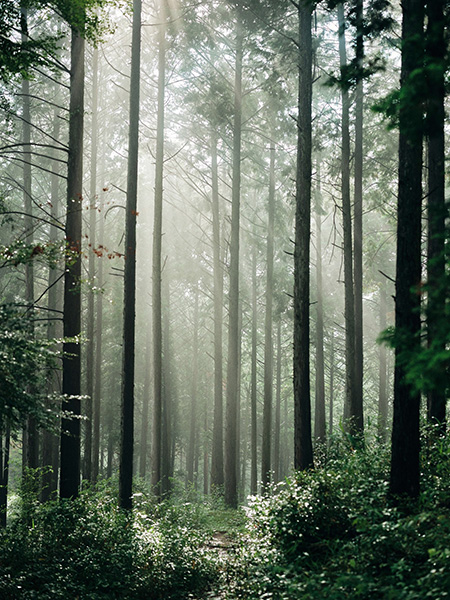 「川嶋克写真事務所」のPR画像