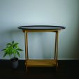 「星野祥子」のPR画像