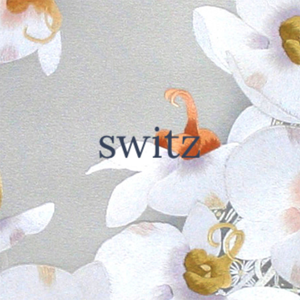 「株式会社switz」のロゴ