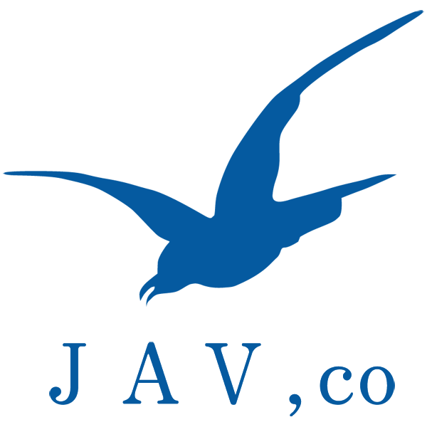 「株式会社日本エアロビデオ」のロゴ