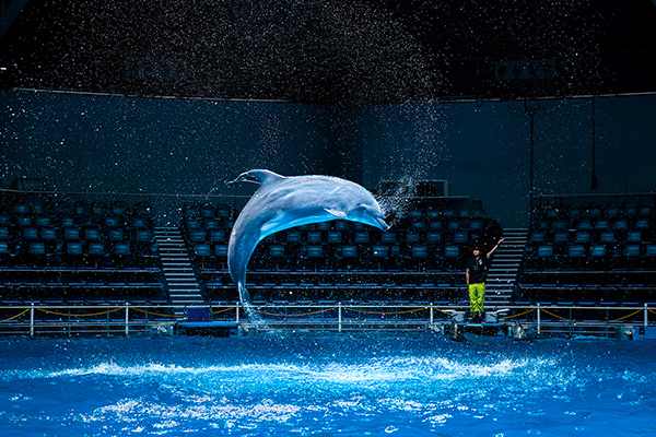 「Ject Works」のPR画像