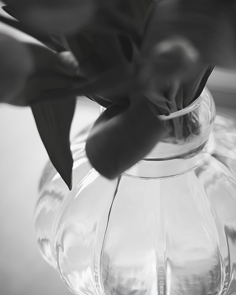 「棚瀬 早也佳」のPR画像