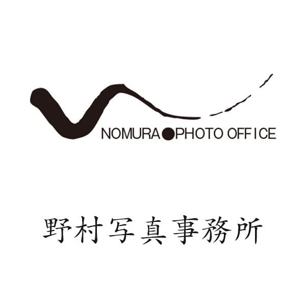 「野村写真事務所」のロゴ