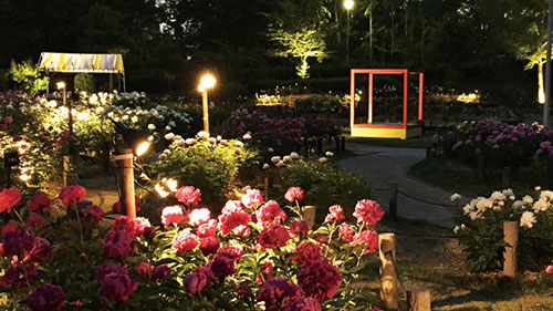 「公園に新たな魅力を」開催風景