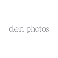 「株式会社den photos」のロゴ