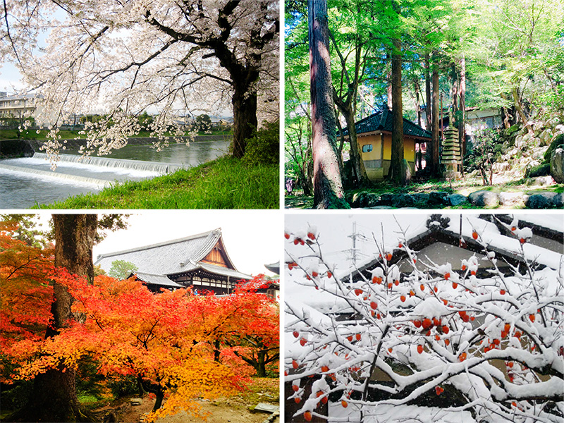 日本の四季