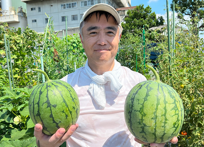 収穫した小玉スイカと岩田氏