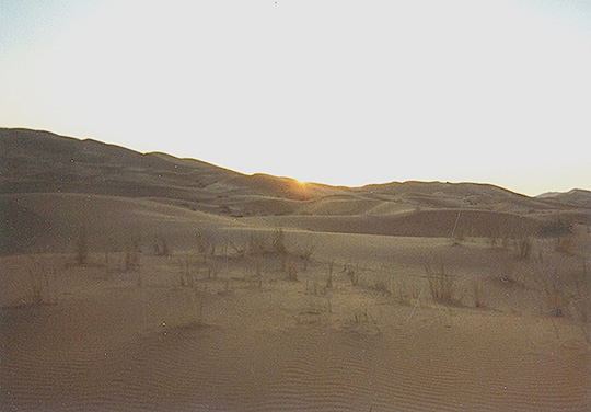 砂漠の日の出